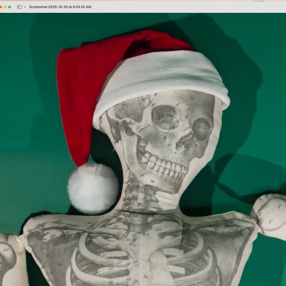 John Derian  x  Target Skeleton with Santa Hat  - Long Lost Friend  - 2025 - NEW - Picture 3 of 4